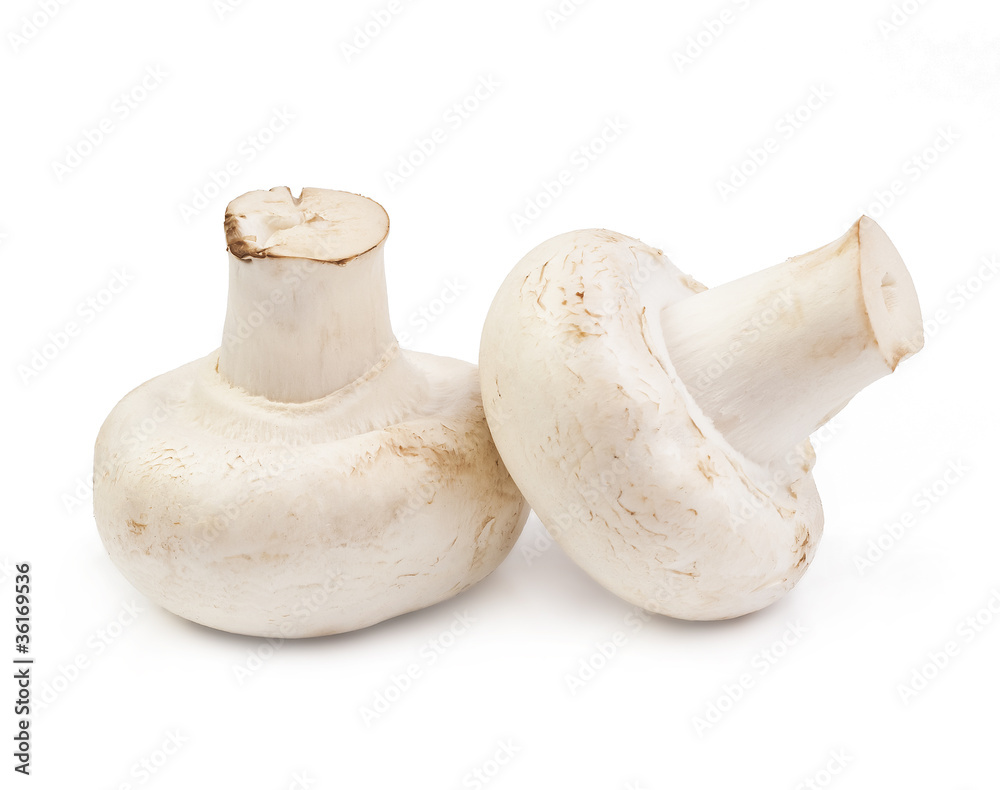 fresh mushrooms isolated
