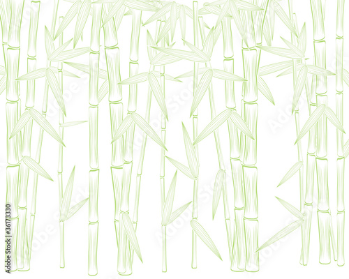 summer green bamboo frame