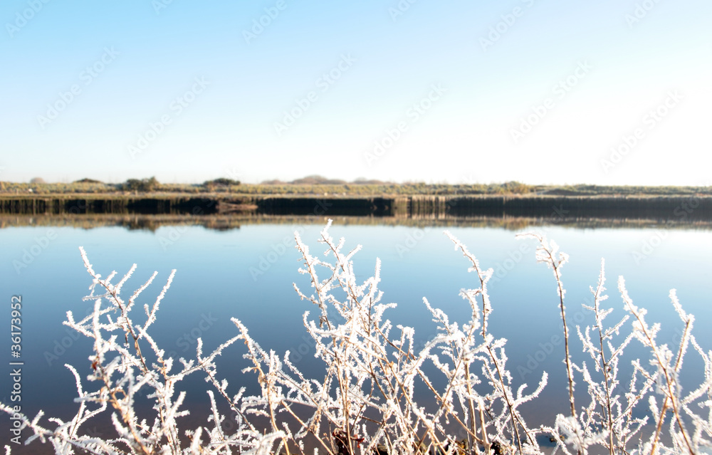 frosty twigs in snow against cold blue sky and river frosty twigs in snow against cold blue sky and river