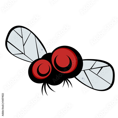 fliege