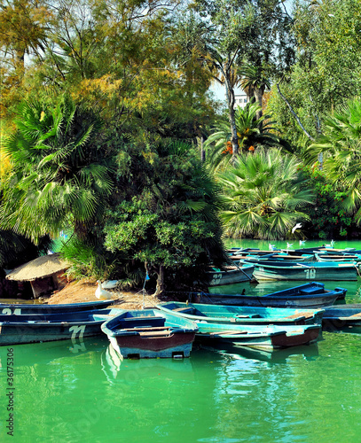 boats and pond in botanical garden in barcelona