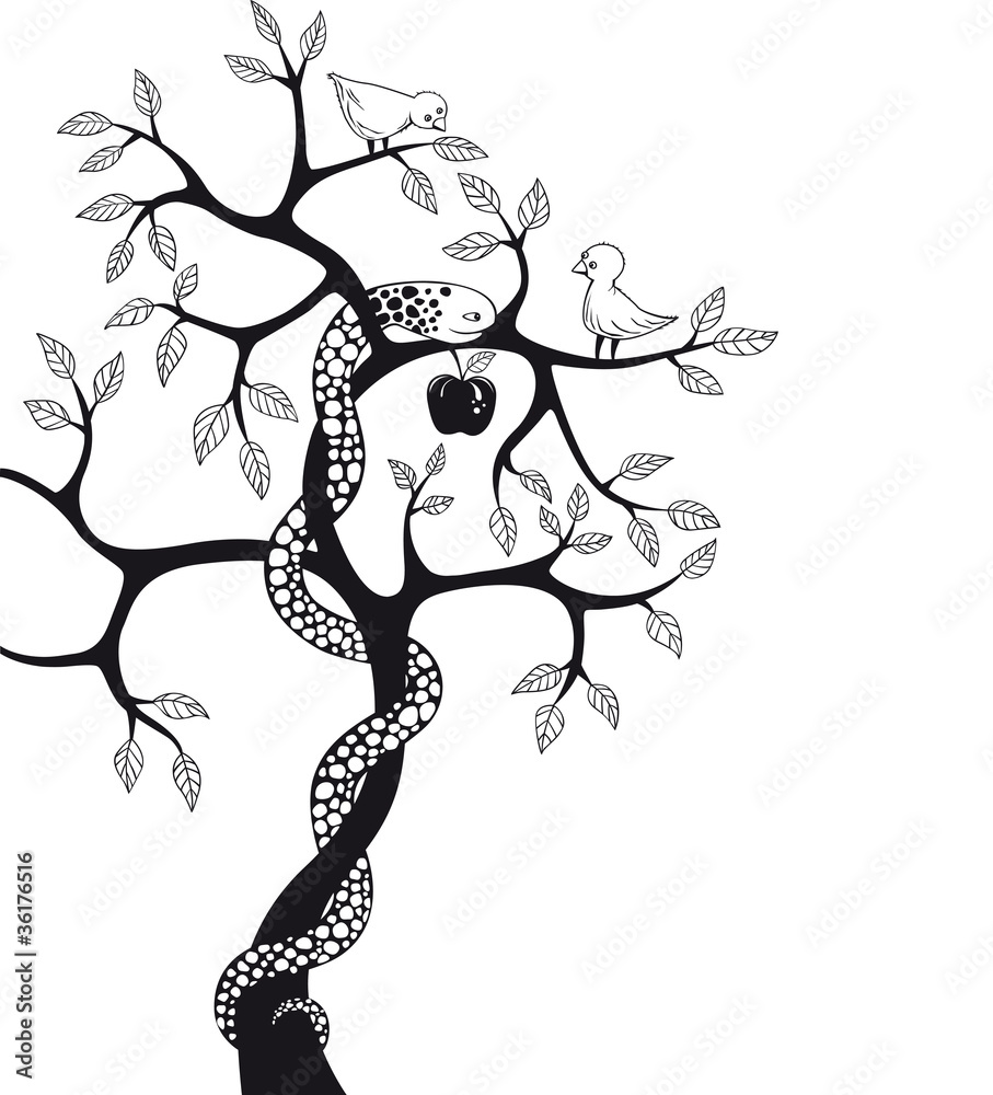Fototapeta premium Tree with snake