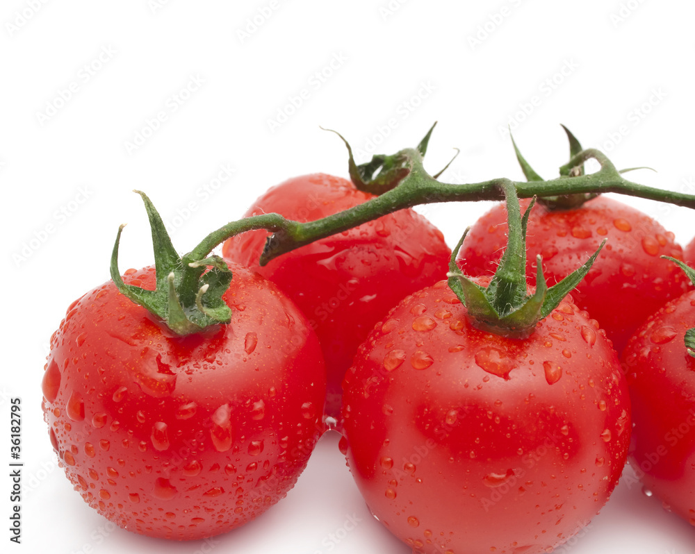 Close-up photo of tomatoes with water drops Close-up photo of tomatoes with water drops