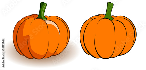Vector two pumpkins are isolated on a white background