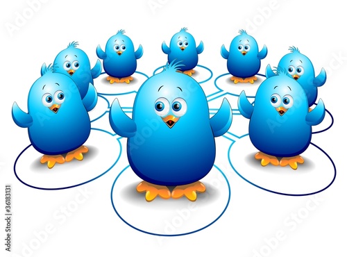 Pulcini Uccelli Blu Social Network-Blue Birds Social Media