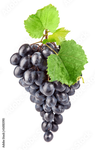 blue fresh grape with green leaves