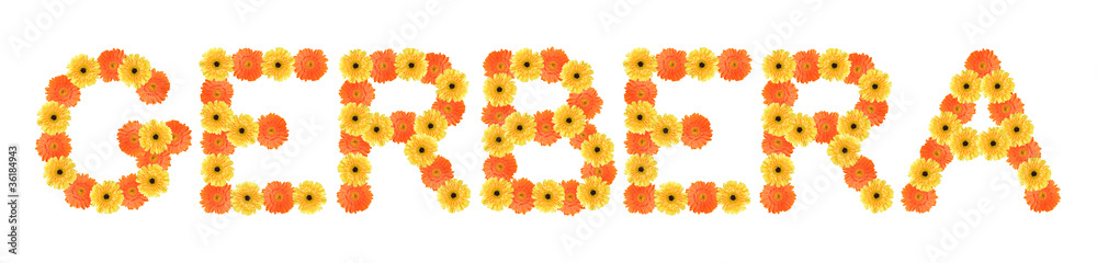 Gerbera word created by daisy flowers Gerbera word created by daisy flowers