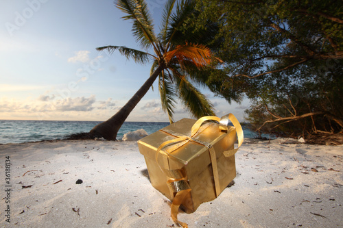 Fototapeta Naklejka Na Ścianę i Meble -  golden gift on ocean beach