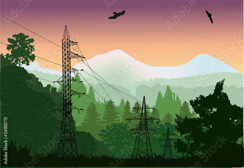 electric line in forest near mountains