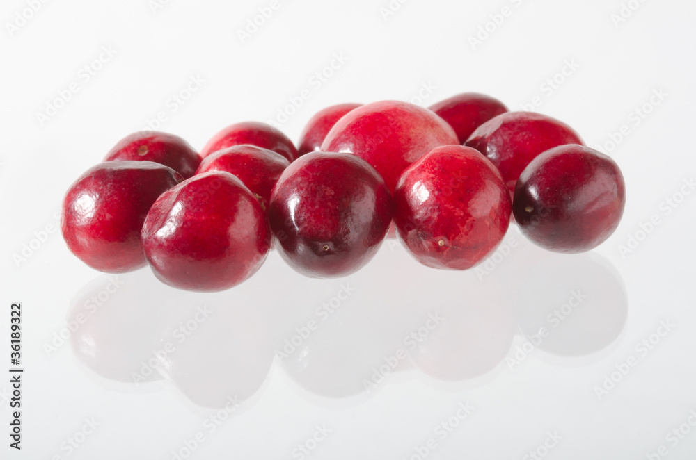 Preiselbeere, Cranberry Preiselbeere, Cranberry