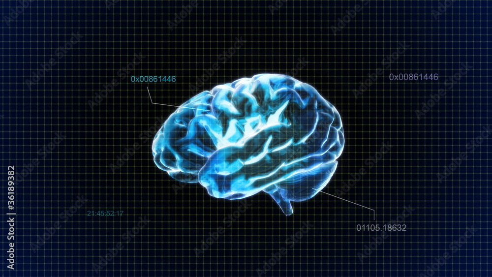 Blue brain and random timecode
