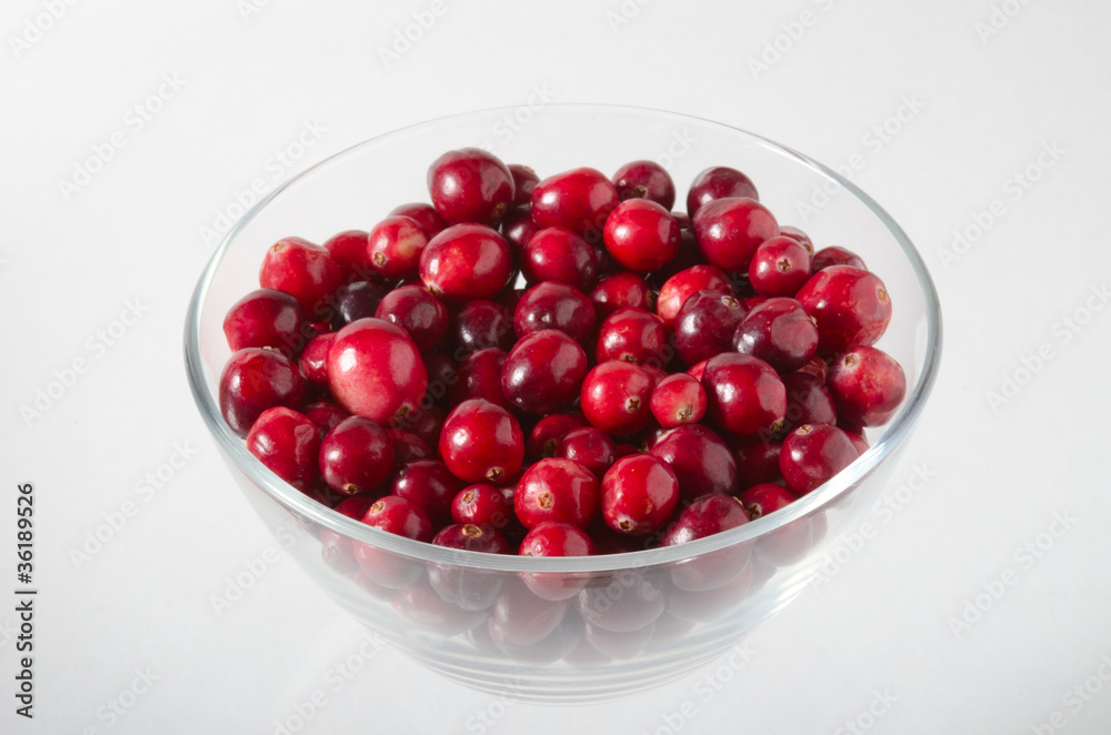 Preiselbeere, Cranberry Preiselbeere, Cranberry