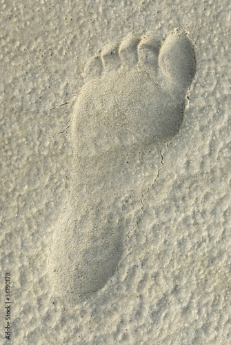 Fußabdruck im Sand 188