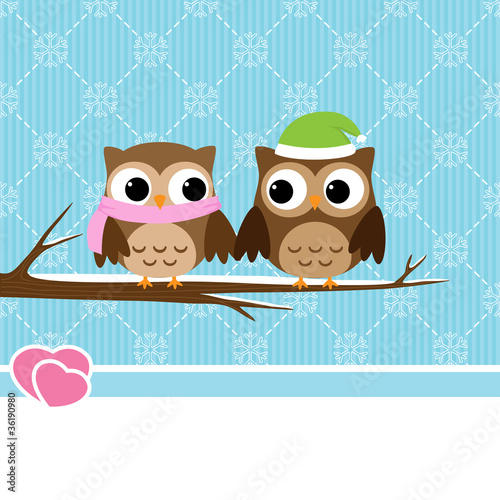 Winter background with couple of owls sitting on branch #36190980
