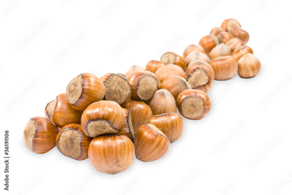 pile of hazelnuts