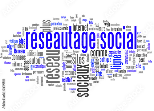 Réseautage social (Social Network)