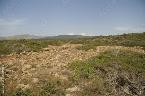 Landscape on Akamas peninsula, Cyprus