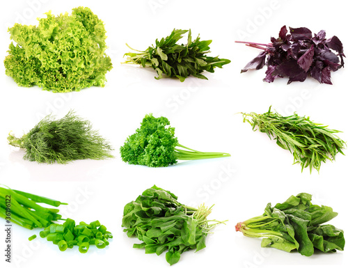 collage of culinary greens. isolated on white
