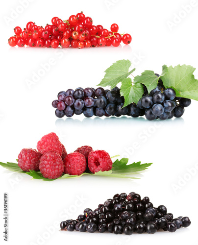 collection of fresh ripe berry