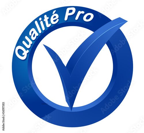 qualité pro sur bouton web 3d bleu