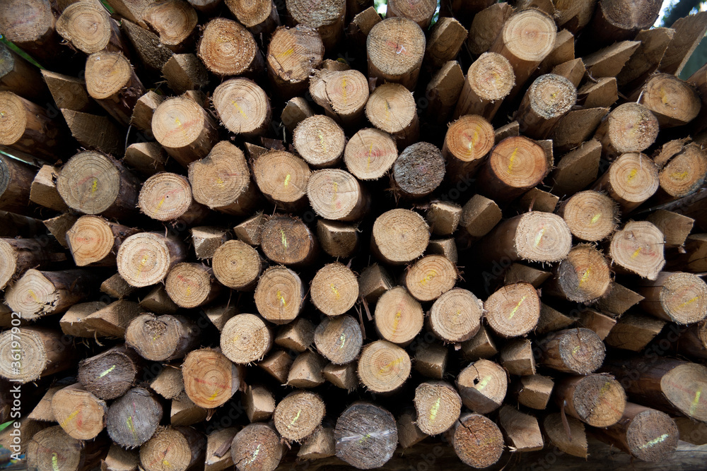 use of heaters in winter with wood use of heaters in winter with wood