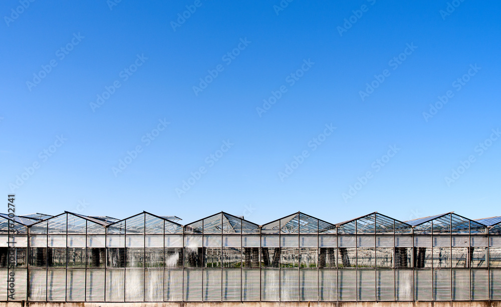 Greenhouse Greenhouse