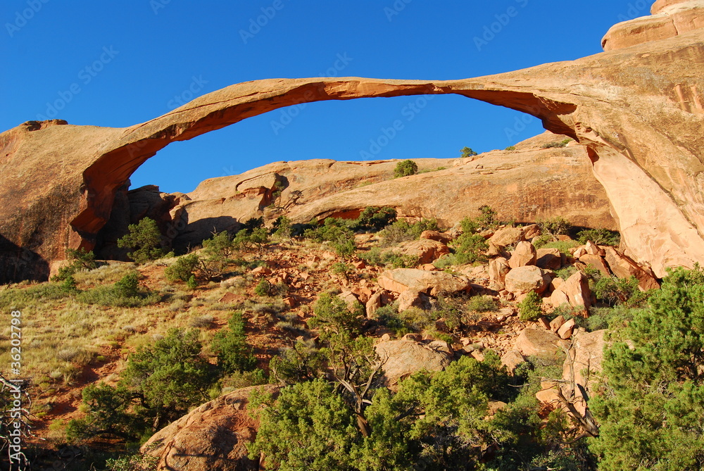 landscape arch - arches national park