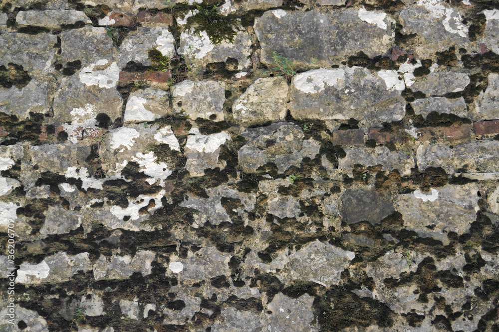 old overgrown stone wall
