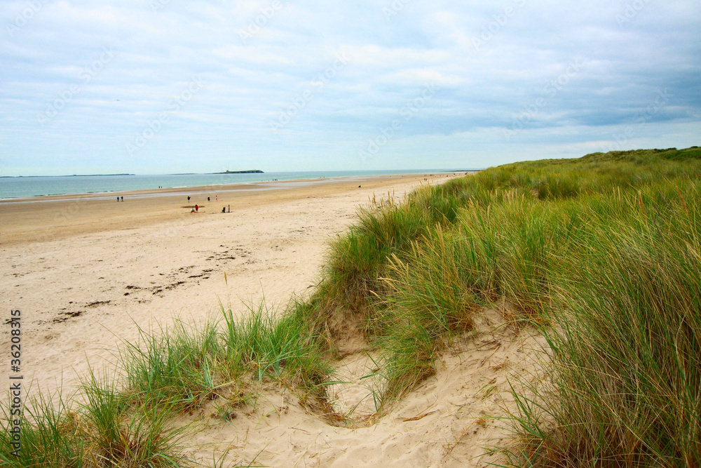 Seaside with sands and grass in England Seaside with sands and grass in England