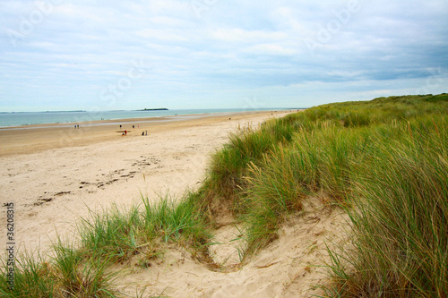 Seaside with sands and grass in England