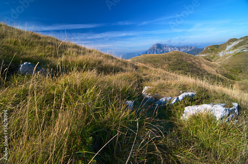 Mountain grass landscape