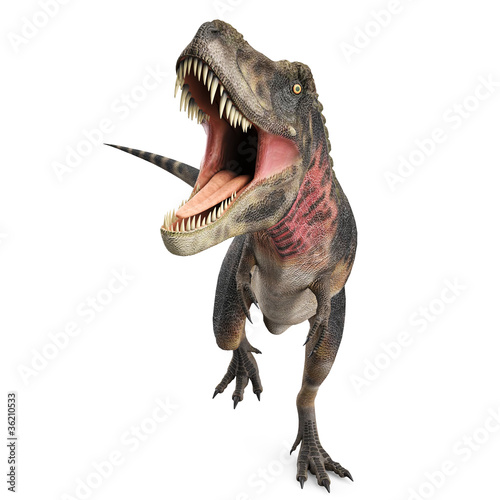 Fototapeta Naklejka Na Ścianę i Meble -  tarbosaurus attack