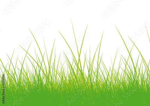 HERBE1