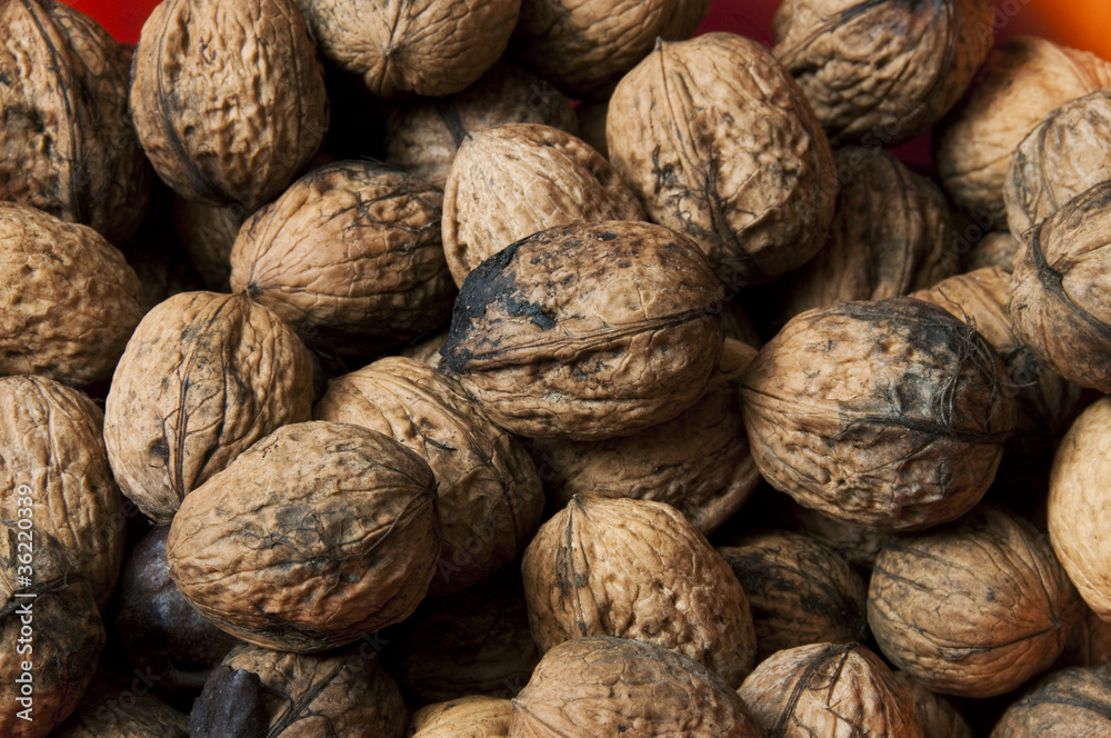 Fresh walnuts