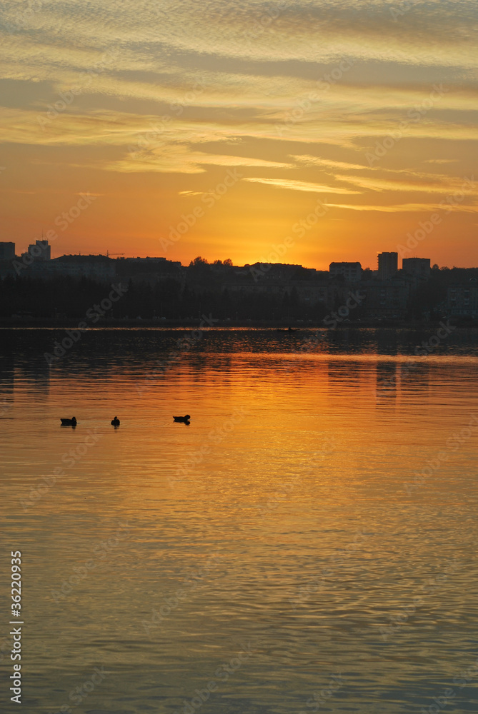 Fototapeta premium Sunset