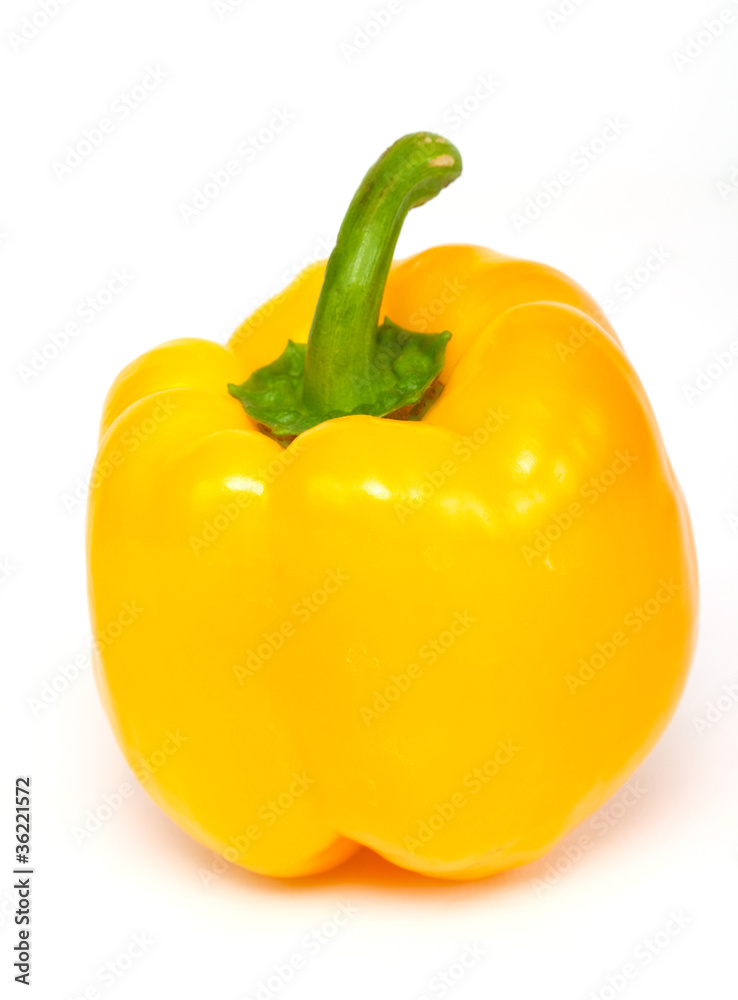 yellow pepper paprika on white background isolated yellow pepper paprika on white background isolated