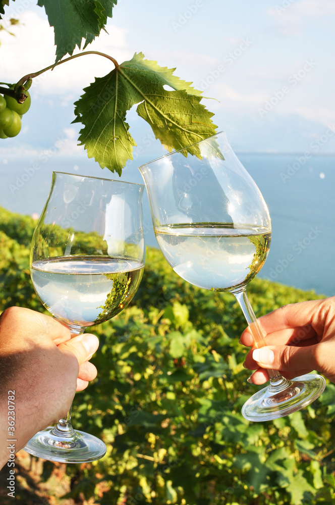 Two hands holding wineglasses. Lavaux region, Switzerland