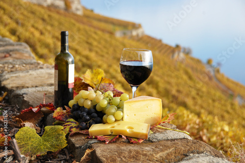Red wine, cheese and grapes. Lavaux region, Switzerland