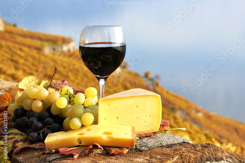 Fototapeta Naklejka Na Ścianę i Meble -  Red wine, grapes and chesse. Lavaux region, Switzerland
