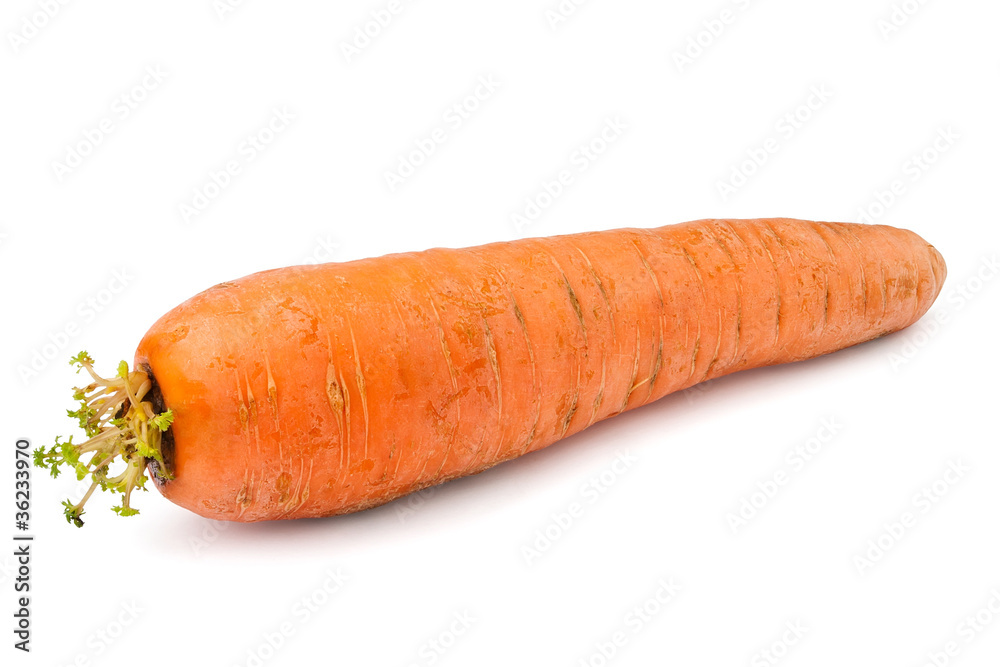 single carrot single carrot