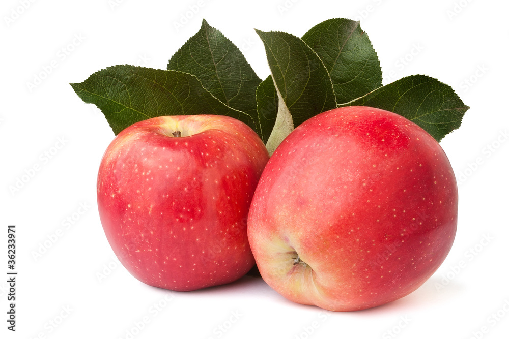 two red apples with leaves