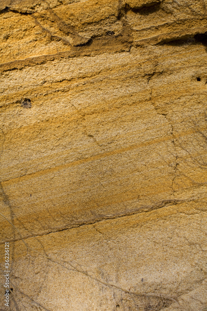 Vertical abstract sandy texture background