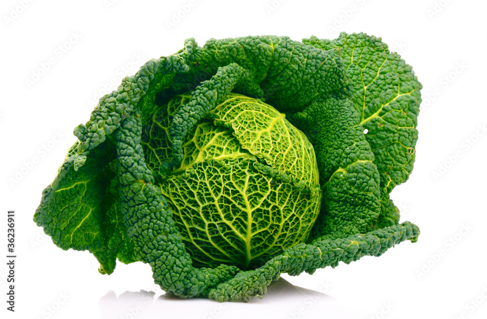 Savoy cabbage isolated on white