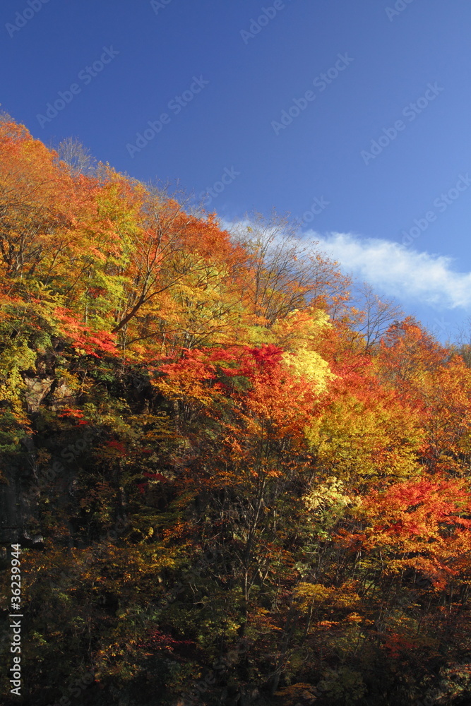 松川渓谷の紅葉