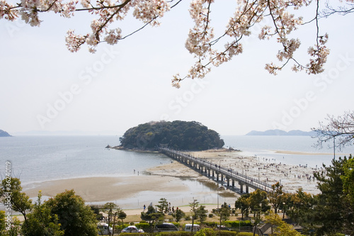 蒲郡の竹島 photo