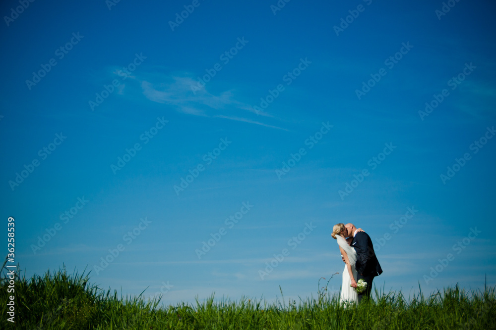 Hochzeitspaar Hochzeitspaar