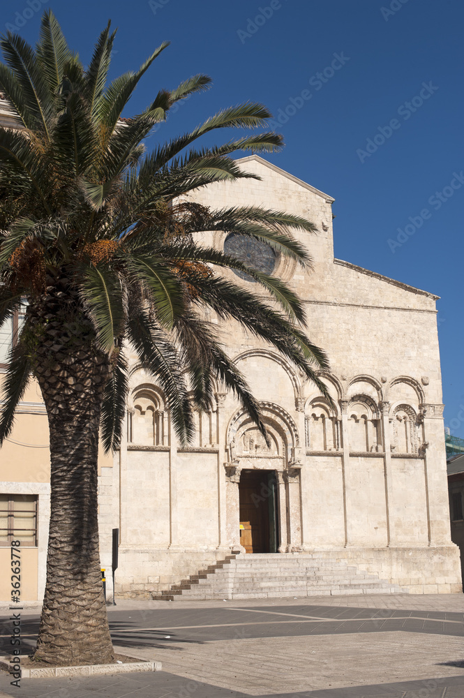 Termoli (Campobasso, Molise, Italy) - Cathedral facade and palm