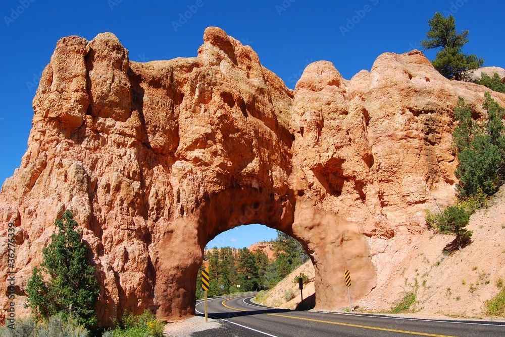 red canyon - bryce canyon red canyon - bryce canyon