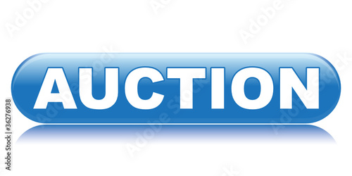 AUCTION ICON