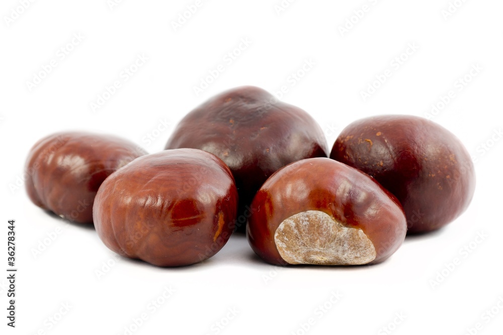 Few chestnuts on the isolated white background Few chestnuts on the isolated white background